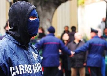 ‘Ndrangheta nel Vibonese, operazione della Dda di Catanzaro: eseguite 14 misure cautelari