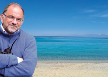 Paolillo (Wwf): «Il mare vibonese? Alla sua bellezza si alternano situazioni vergognose»