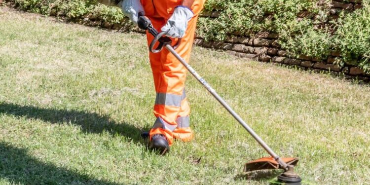 Aree private lasciate tra le sterpaglie, il Comune di Vibo richiama i proprietari: «Obbligo di pulizia»
