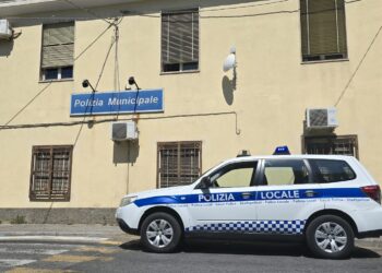 Il Comune di Vibo assume quattro nuovi agenti di Polizia locale. Già in servizio da lunedì