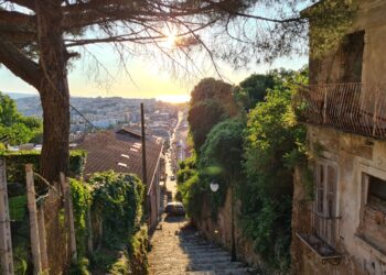 Turismo e sviluppo, Catania (Pro loco Vibo Città): «Già inviata una richiesta di incontro al sindaco Romeo»