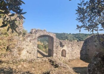 Un pomeriggio tra archeologia e storia, alla scoperta del Castello di Arena con il Fai giovani