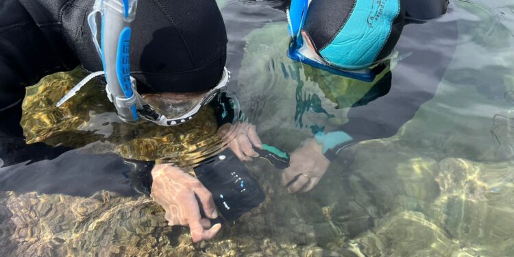 A Vibo Marina arriva “BIOWatching nel Blu”: monitoraggio costiero all’insegna della ricerca partecipata