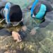 A Vibo Marina arriva “BIOWatching nel Blu”: monitoraggio costiero all’insegna della ricerca partecipata