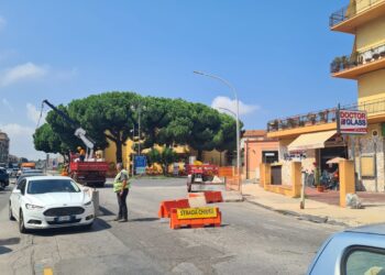 Vibo, al via i lavori sulla statale 18: ecco cosa sarà fatto tra viale Affaccio, Moderata Durant e via Saragat – Foto