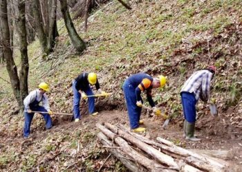 Lavoratori Calabria Verde: la Regione in cerca di una soluzione per dare continuità occupazionale