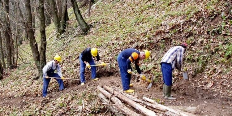 Lavoratori Calabria Verde: la Regione in cerca di una soluzione per dare continuità occupazionale