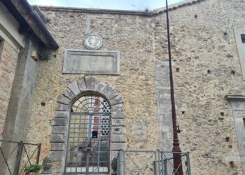 Chiusura del Sistema bibliotecario vibonese, Petrolo (SI): «Inoltrata a Romeo una proposta, ma non ci ha risposto»