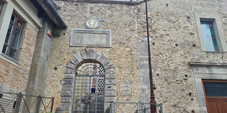 Chiusura del Sistema bibliotecario vibonese, Petrolo (SI): «Inoltrata a Romeo una proposta, ma non ci ha risposto»
