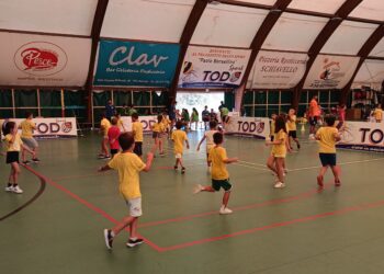 Pallavolo, volge al termine il Campus organizzato dalla Todosport Vibo per piccoli atleti