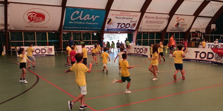 Pallavolo, volge al termine il Campus organizzato dalla Todosport Vibo per piccoli atleti