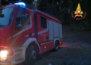 Vanno a funghi e si perdono tra i boschi del Vibonese: ritrovati da una squadra dei vigili del fuoco