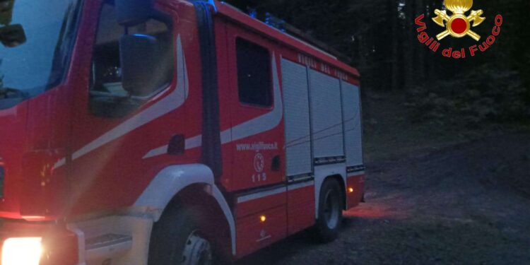 Vanno a funghi e si perdono tra i boschi del Vibonese: ritrovati da una squadra dei vigili del fuoco