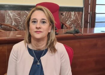 Trasporto scolastico a Vibo, il Comune apre le iscrizioni al servizio: ecco per chi sarà attivo