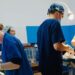 Randagismo a Vibo, in città medici olandesi per fare le sterilizzazioni: l’impegno delle associazioni