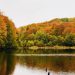 Parco delle Serre, in autunno è un boom di presenze: «Abbiamo molti visitatori dalla Sicilia per il foliage e non solo»