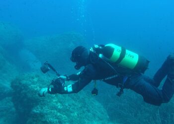 Con l’associazione “Scuba World” per scoprire le bellezze dei fondali marini del Vibonese