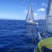 X Trofeo Città di Tropea – IV Memorial Franco Trungadi