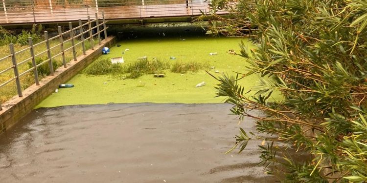 A Vibo Marina il fosso Antonucci fa paura: portata d’acqua oramai al limite. Grido d’allarme di Schiavello (FdI) – Foto