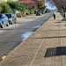 Vibo Valentia, l’associazione Pro Moderata Durant pianterà nuovi alberi su Viale Giuseppe Saragat
