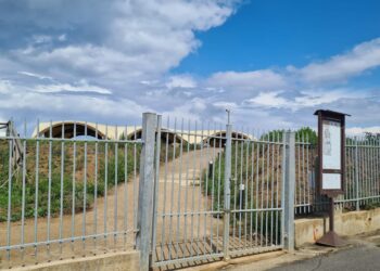 Vibo, il declino dei siti archeologici. Maria Concetta Preta: «Cancelli e inferriate sbarrati impediscono di visitare le nostre bellezze»