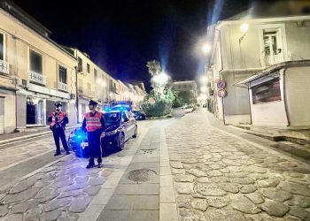 Controllo del territorio, dai carabinieri denunce e sequestri nel Vibonese per droga, armi e illeciti ambientali