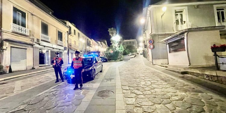 Controllo del territorio, dai carabinieri denunce e sequestri nel Vibonese per droga, armi e illeciti ambientali