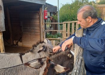 Vibo. L’impegno nel territorio per l’inclusione sociale dell’associazione “La Goccia”: ecco cosa si fa