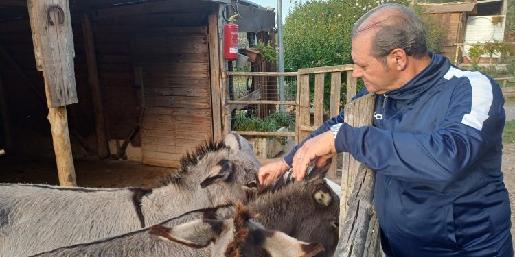 Vibo. L’impegno nel territorio per l’inclusione sociale dell’associazione “La Goccia”: ecco cosa si fa