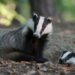 Tutto pronto per celebrare e ricordare i 20 anni del Parco Naturale Regionale delle Serre