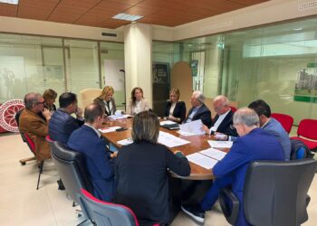 Una foto dell'incontro in Cittadella sul futuro del Sistema bibliotecario vibonese