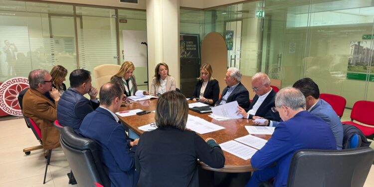 Una foto dell'incontro in Cittadella sul futuro del Sistema bibliotecario vibonese