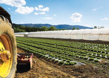 Agricoltura