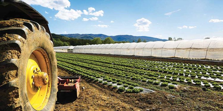 Agricoltura