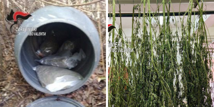 Gerocarne, i carabinieri scoprono 4 chili di marijuana all’interno di un bidone di plastica