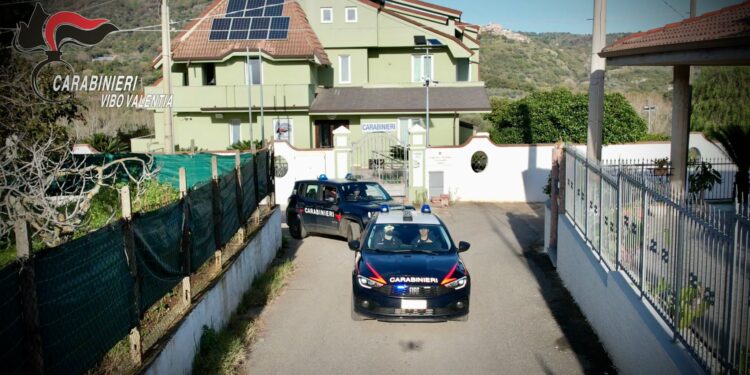 Vasta operazione antidroga dei carabinieri: arresti tra le province di Reggio Calabria e Vibo Valentia