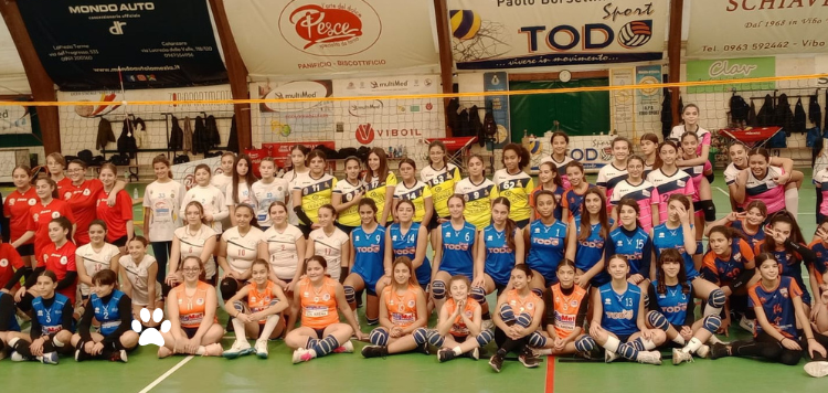 Vibo. Christmas Cup Under 13 femminile: al PalaBorsellino giornata di sport organizzata dalla TodoSport