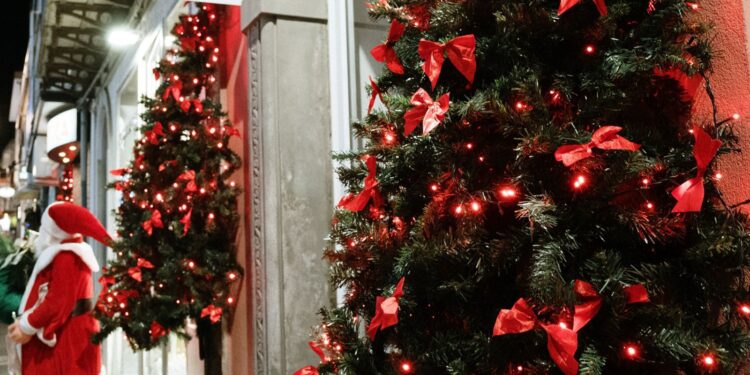 Vibo Valentia si tinge di colore rosso: l’associazione Vetrine Vibonesi illumina il Natale cittadino