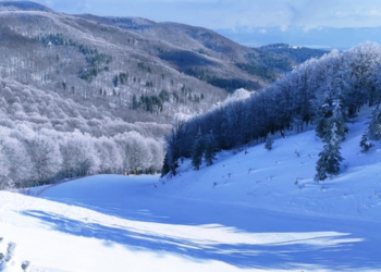 Una immagine della Sila, neve abbondante in Calabria nelle ultime ore