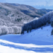 Una immagine della Sila, neve abbondante in Calabria nelle ultime ore