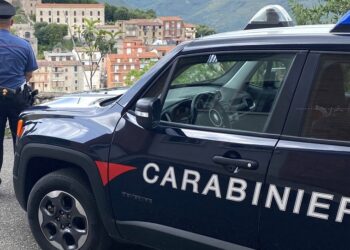 Ai domiciliari in Calabria, ospita un banchetto e finisce nei guai