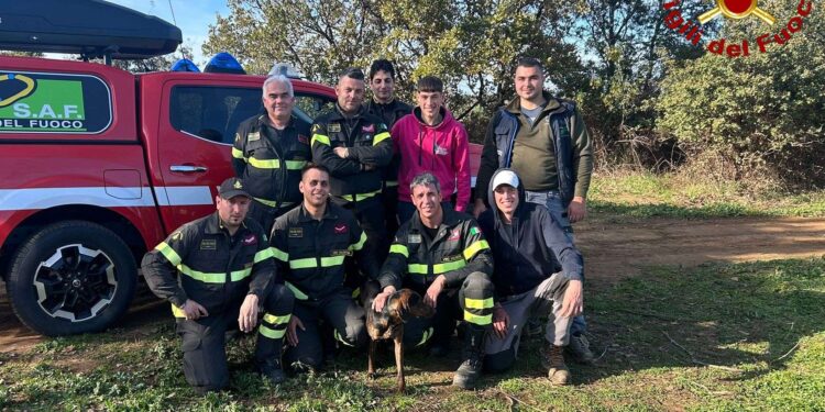 Cane precipita in un dirupo, lo salvano i Vigili del fuoco di Vibo Valentia