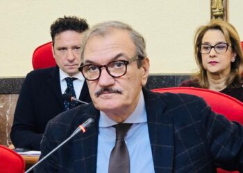 Il sindaco di Vibo Valentia Enzo Romeo
