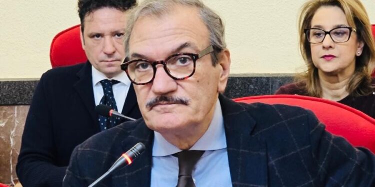 Il sindaco di Vibo Valentia Enzo Romeo