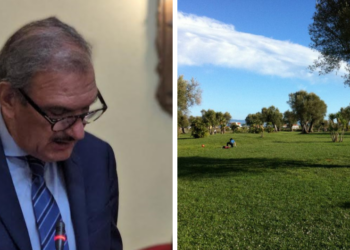 Vibo Valentia. La giunta Romeo vuole il Piano comunale del verde urbano: ecco a cosa serve