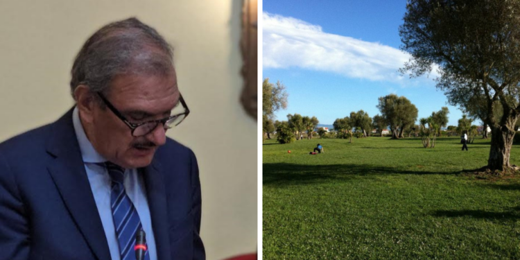 Vibo Valentia. La giunta Romeo vuole il Piano comunale del verde urbano: ecco a cosa serve