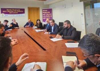 Tirocinanti calabresi: Regione Calabria e sindacati uniti per lo svuotamento del Bacino