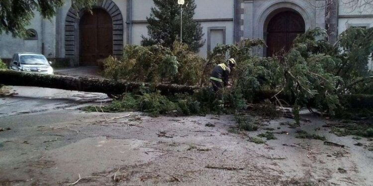 Maltempo nel Vibonese, ancora decine di interventi da parte dei Vigili del fuoco: pericolo alla Certosa