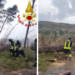 Maltempo nel Vibonese, numerosi gli interventi dei Vigili del Fuoco: caduti alberi e pali per il forte vento