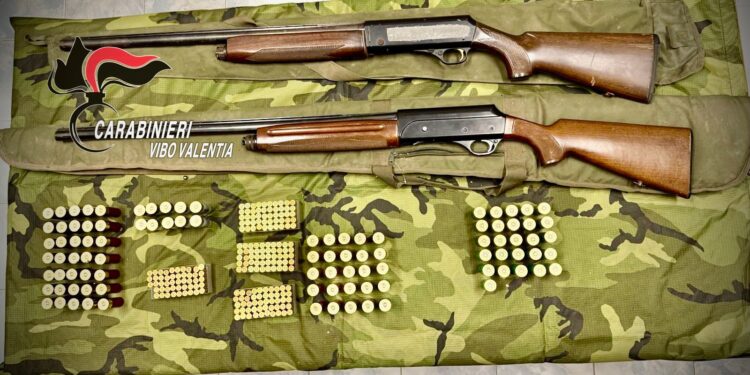 Sequestrate armi e munizioni nel Vibonese: i carabinieri arrestano due fratelli